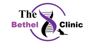 gallery/bethelclinicteam logo