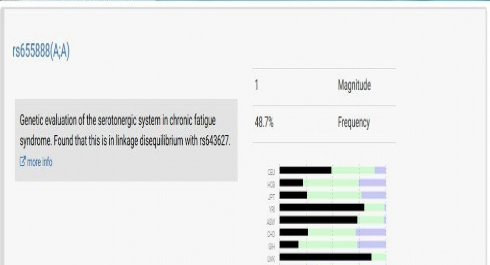gallery/発達障害8-1　易疲労　セロトニン
