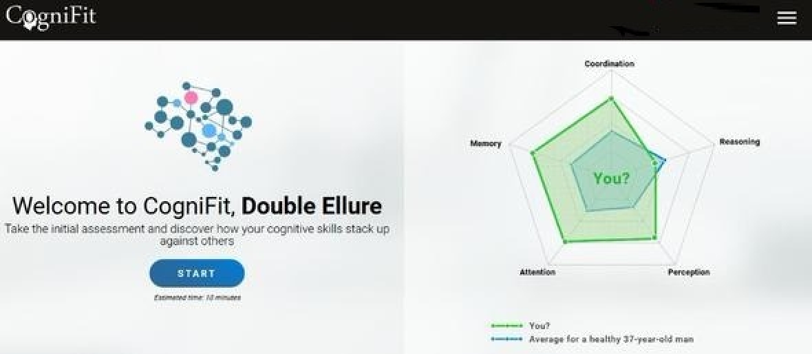 gallery/cognifit sample1